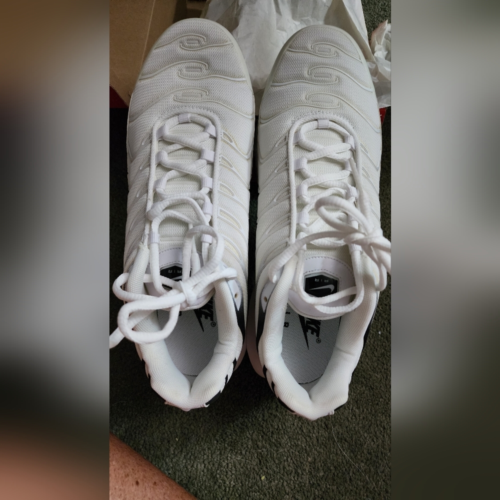 Nike Air Max Plus size 10